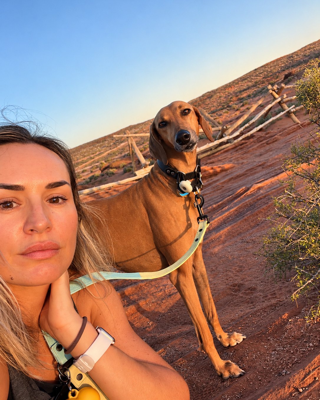 Aleksandra Irzykowska with her saluki, Waseem, in the desert at sunset